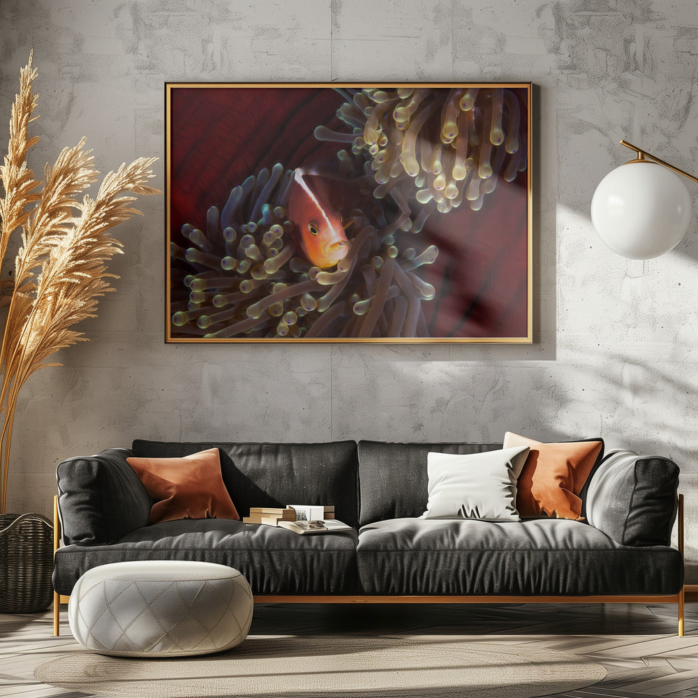 A teat in the mouth Poster